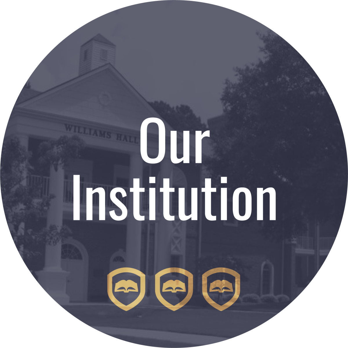 our institution